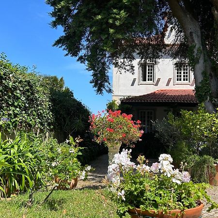 Villa Branca Jacinta Sintra Luaran gambar