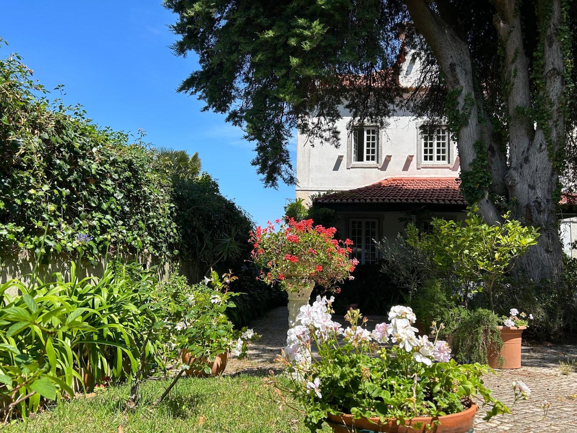 Villa Branca Jacinta Sintra Luaran gambar